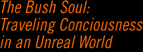 The Bush Soul: Traveling Consciousness in an Unreal World